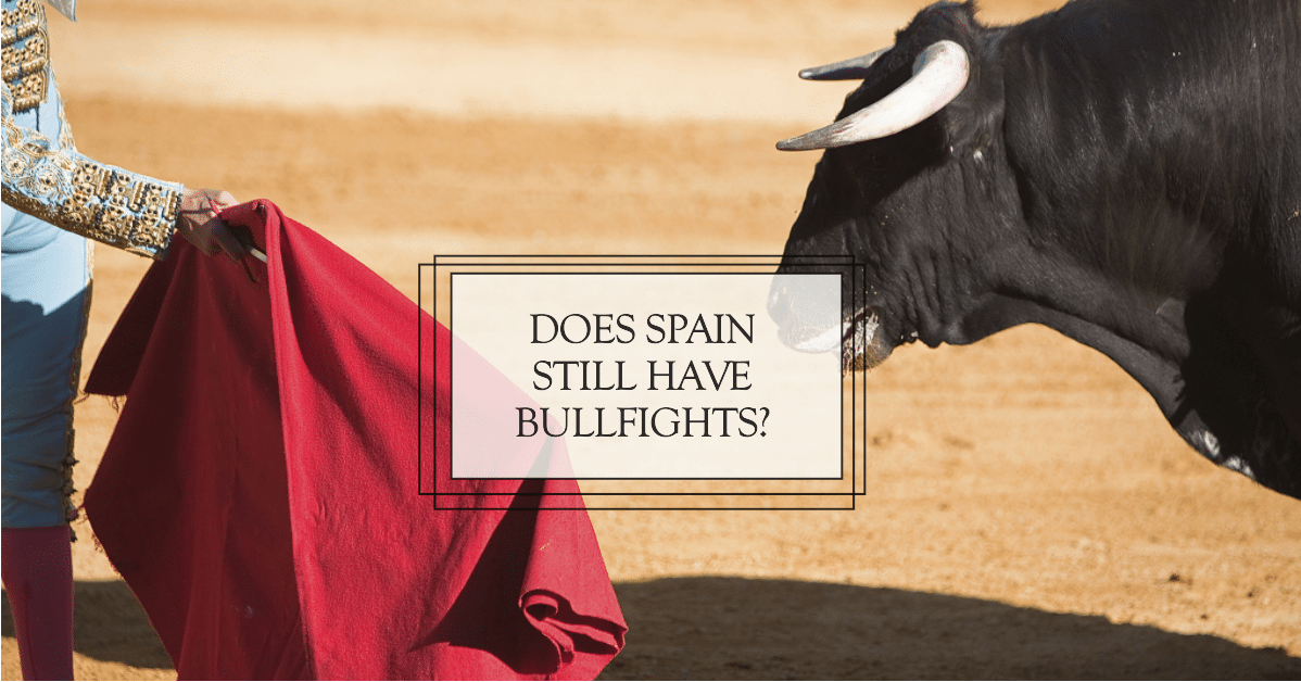 Exploring the Tradition: Does Spain Still Have Bullfights in 2023?